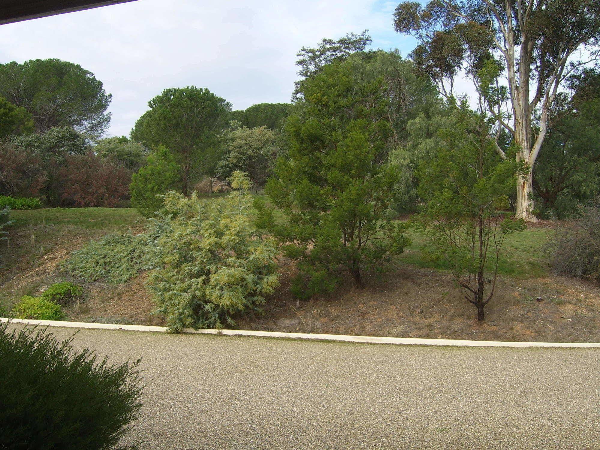 Garden Motor Inn Gundagai Eksteriør bilde