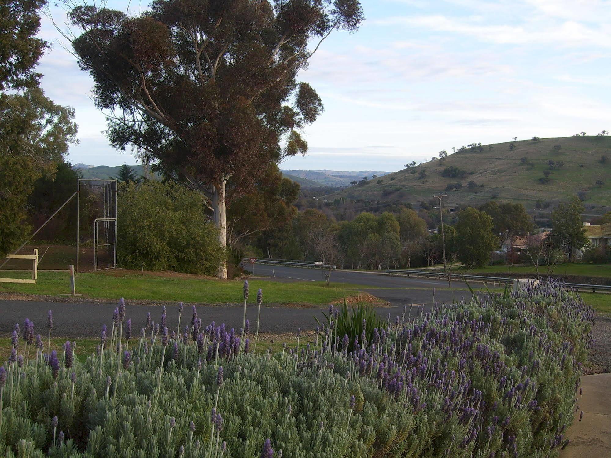 Garden Motor Inn Gundagai Eksteriør bilde