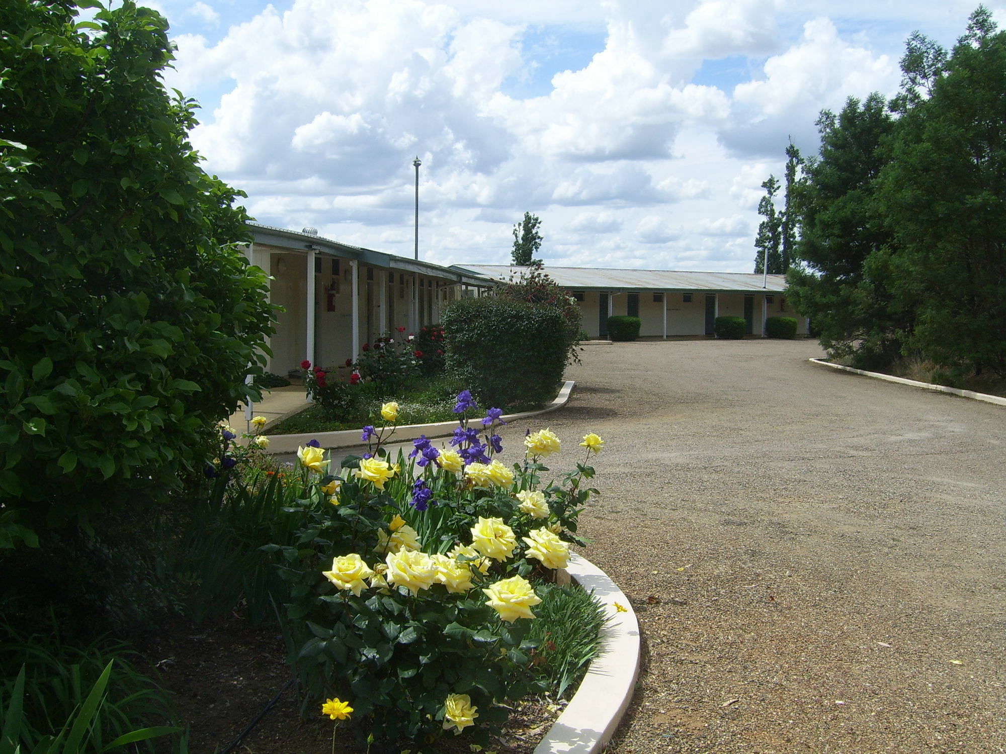 Garden Motor Inn Gundagai Eksteriør bilde